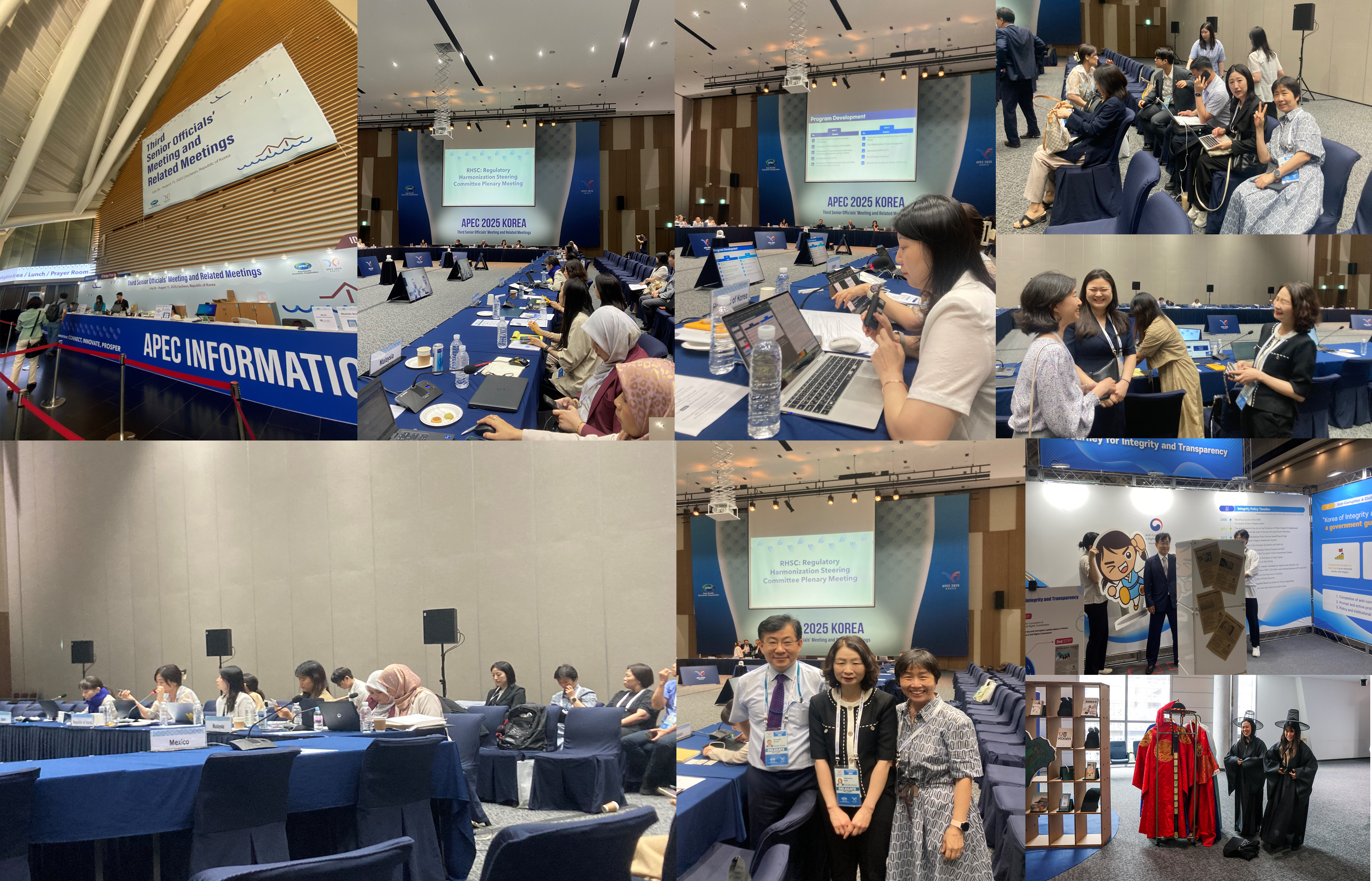 2025 APEC SOM3 RHSC Meeting (July 31–August 1, 2025)